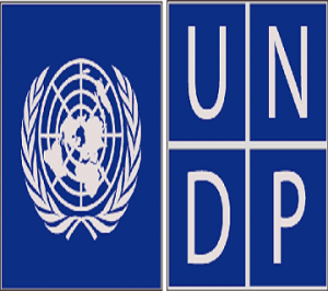 Nigeria Could Lose Its Leadership Role In West Africa – UNDP – Channels ...