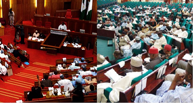 ekweremadu-warns-against-imposition-of-principal-officers-on-national