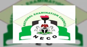 How To Check NECO 2020 Results – Channels Television