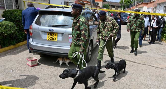 Sniffer Dogs, Bomb Experts Comb Through Kenya Attack Site – Channels ...