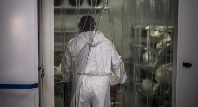 An undertaker from the AVBOB funeral house in Soweto, carries into a cold storage room the remains of a COVID-19 coronavirus patient on July 21, 2020. MARCO LONGARI / AFP