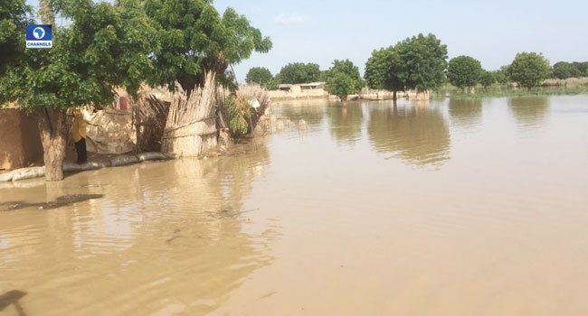 Jigawa Flood: Death Toll Rises To 40 As IDPs Seek Better Shelter ...