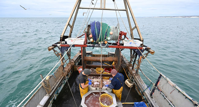 Norway Threatens To Shut Out EU, UK fishermen If Brexit Deal Not Signed –  Channels Television