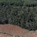 BRAZIL-DEFORESTATION • Channels Television