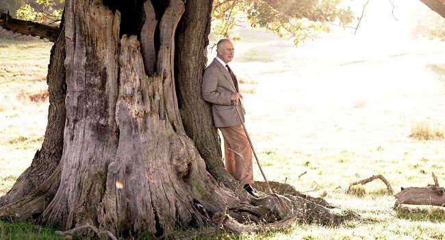 King Charles Iii Celebrates First Birthday As British Monarch Trendradars Uk 7892