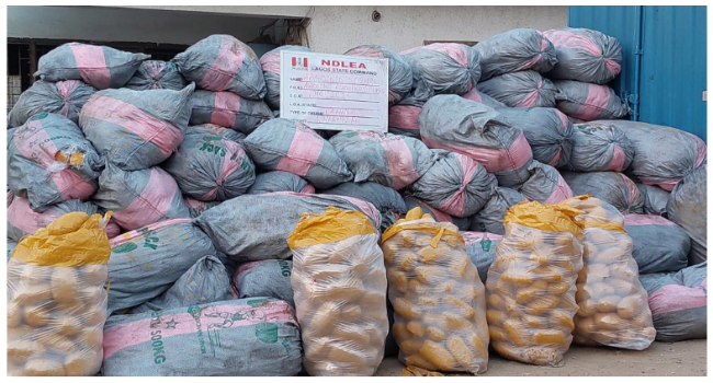 NDLEA Impounds 4,878KG Of Canadian Loud After Attack • Channels Television