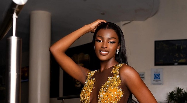 Chidimma Adetshina Celebrates Triumph as Miss Universe Nigeria 2024 