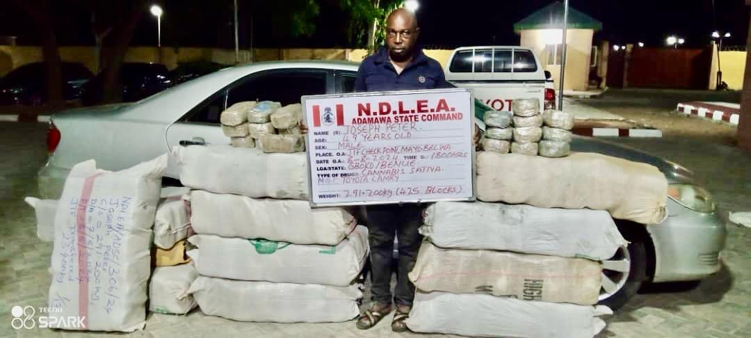 NDLEA Recovers Multi-Billion-Naira Drugs In Nationwide Raids • Channels ...