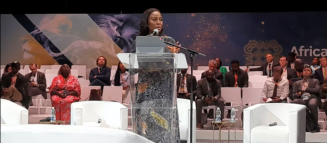 Nigeria To Sign FIDs On Two Deepwater Projects Mid-2025, Says Presidency
